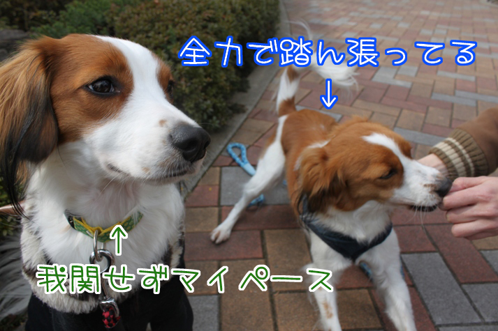 a0076980_19321699.jpg