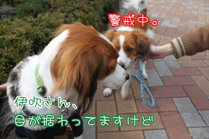 a0076980_1938131.jpg