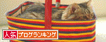 人気ブログランキングへ♪