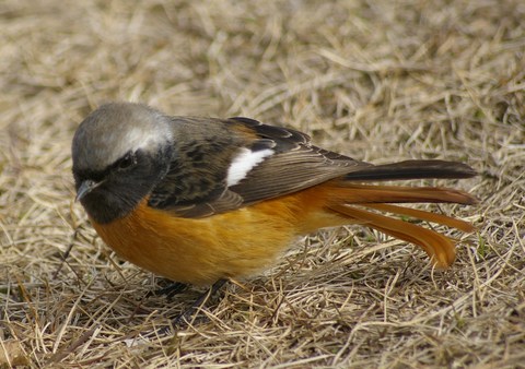 e0197884_815478.jpg