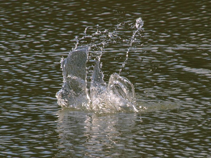 b0108186_23122350.jpg