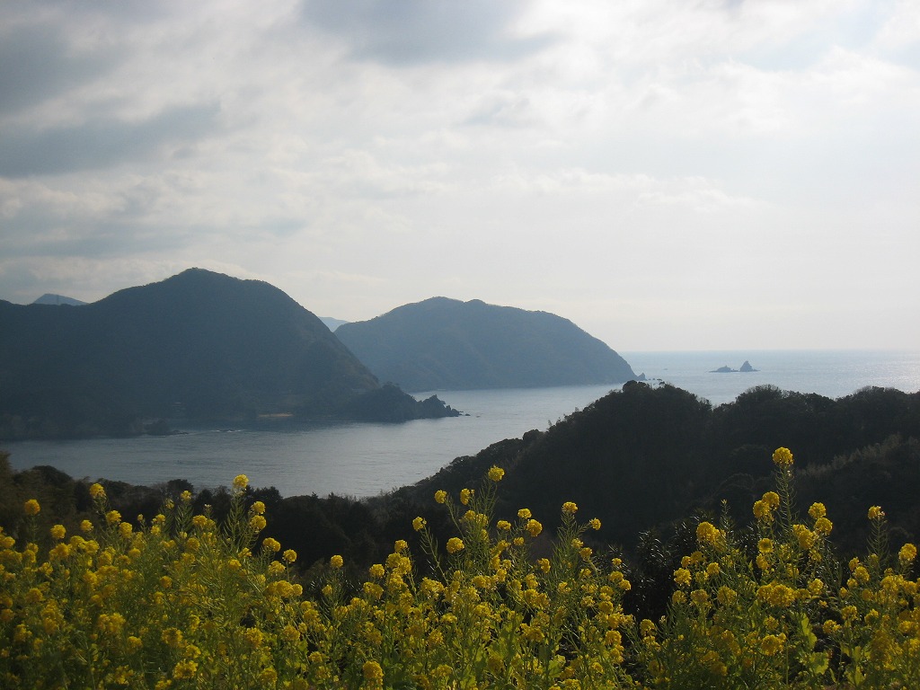 a0090292_1083855.jpg