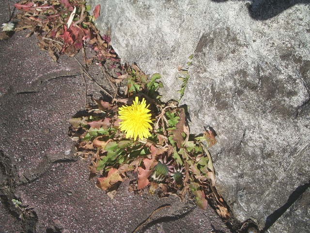 e0025300_16392100.jpg