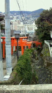 f0114900_1855462.jpg