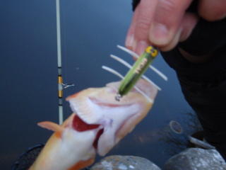 c0023804_2152125.jpg