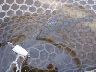 c0023804_2163348.jpg