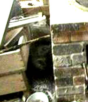 e0103408_15335487.jpg