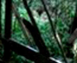 e0103408_15351893.jpg