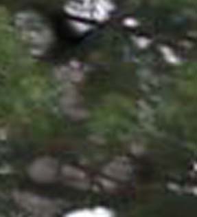 e0103408_20384874.jpg
