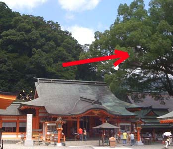 e0103408_20394784.jpg
