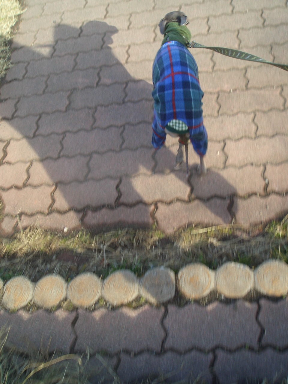 e0141909_21275139.jpg