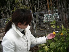 c0190010_21265811.jpg