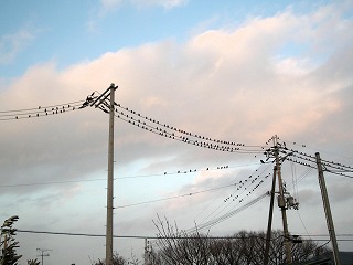 c0190010_21325583.jpg