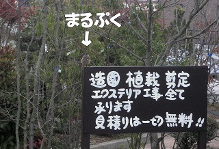 c0190010_21332795.jpg