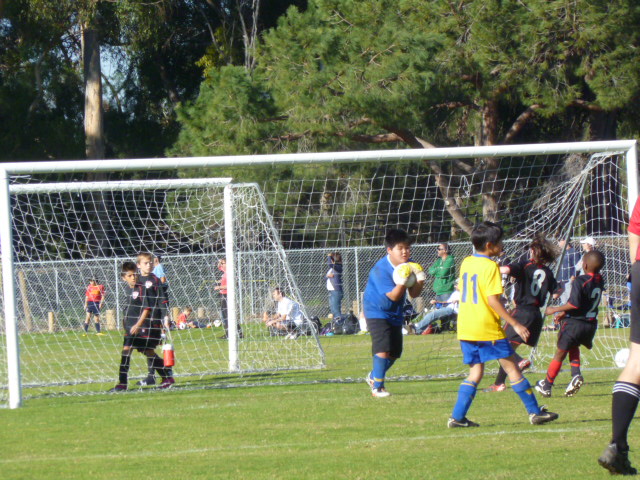 a0144811_618562.jpg
