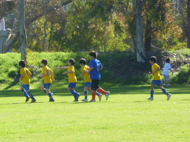 a0144811_6193043.jpg
