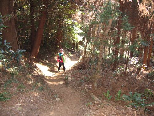 b0093515_7512140.jpg