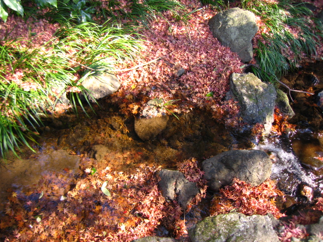 b0093515_7514482.jpg