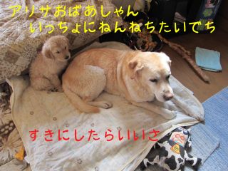 b0008217_235325.jpg
