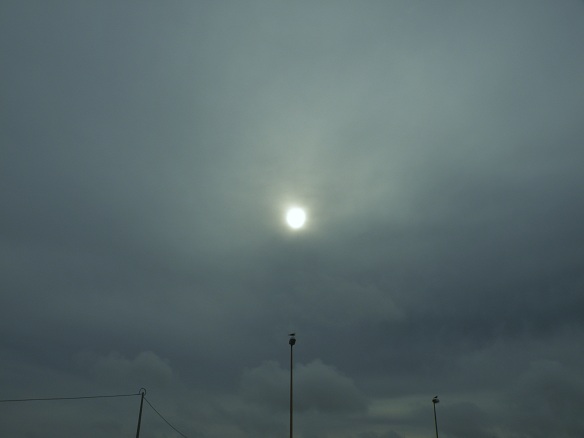 d0113817_20561479.jpg