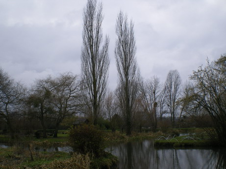 c0124619_3394373.jpg