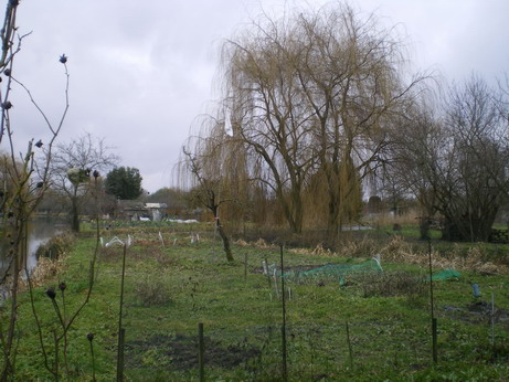 c0124619_3401660.jpg