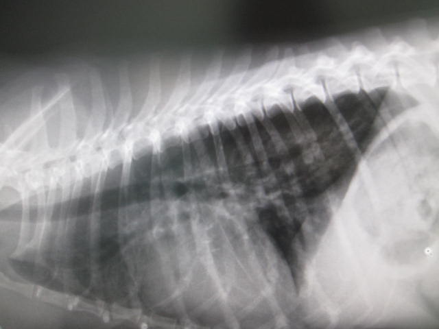 e0191826_23595769.jpg