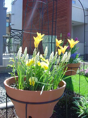 f0205733_1101565.jpg