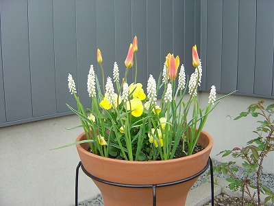 f0205733_110181.jpg