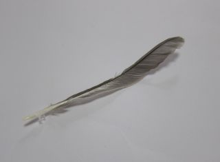 b0178339_17131763.jpg