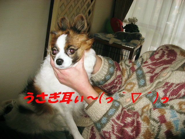 a0149240_11583869.jpg