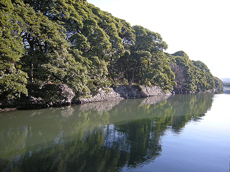 a0001354_204288.jpg