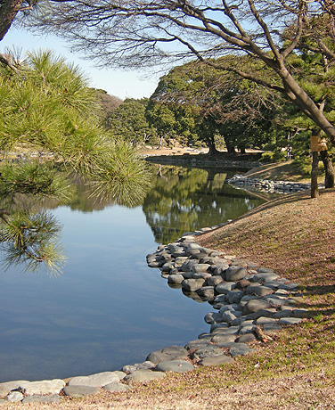 a0001354_21163385.jpg