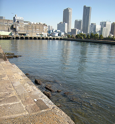 a0001354_21172532.jpg