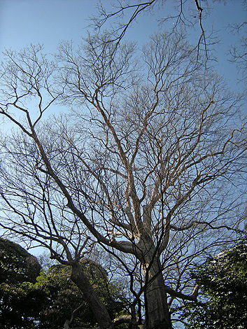 a0001354_2184832.jpg