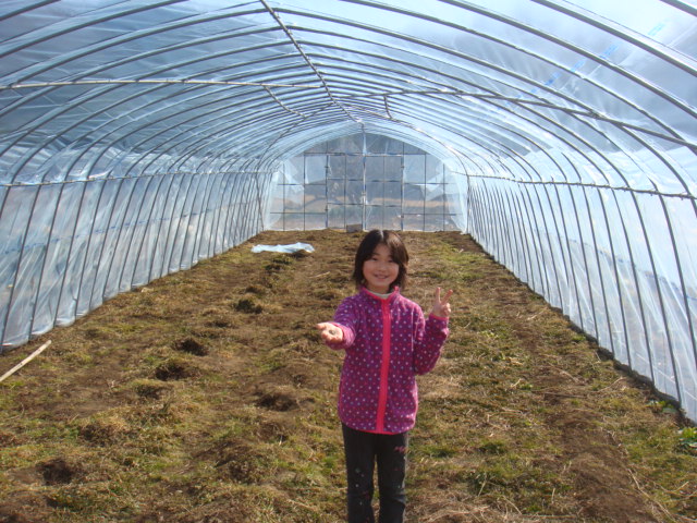 c0074157_21375395.jpg