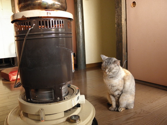 f0201157_1631520.jpg