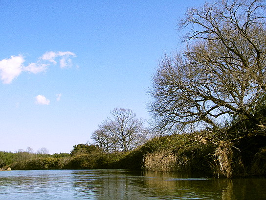 f0084561_16114514.jpg