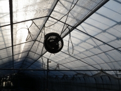 f0055264_20335414.jpg
