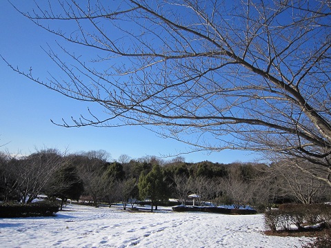 d0120665_19165750.jpg