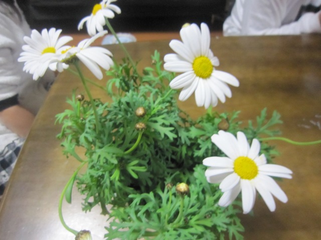 c0202870_81429.jpg