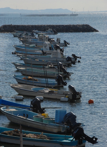 b0105374_845155.jpg