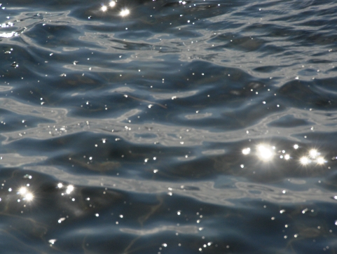 b0105374_8452337.jpg