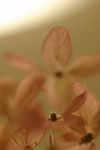 a0170378_23351419.jpg