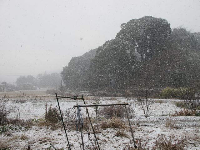 e0132881_21102115.jpg