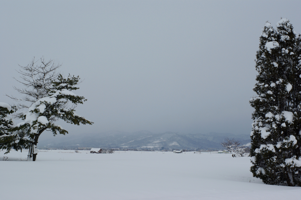 e0051186_2015216.jpg