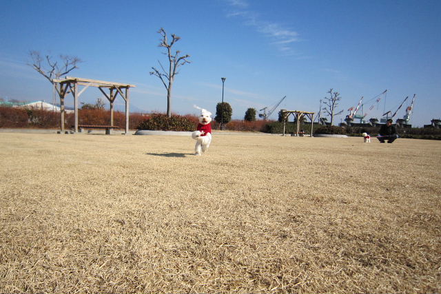 b0104592_13413058.jpg