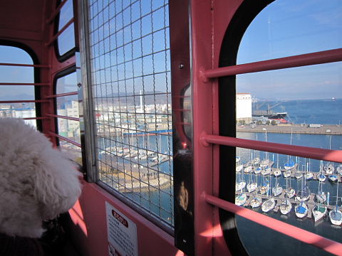 b0104592_1474064.jpg