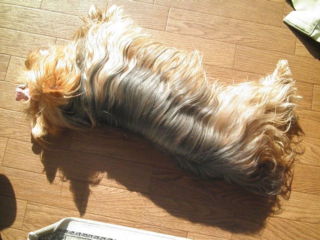 f0130894_21525171.jpg