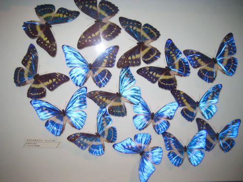 f0201297_6284040.jpg